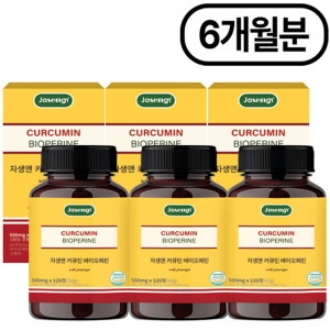 [불명] 자생앤 커큐민 바이오페린 120정 (3개)_이미지