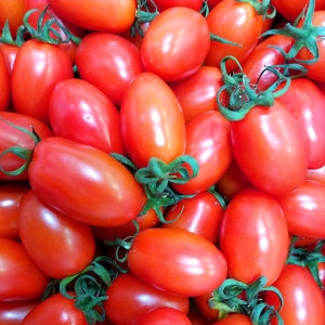 원형이네청과 대추방울토마토 3-4번 5kg