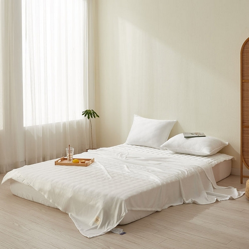 샤이닝홈 샤르르 쿨리쉬 냉감 여름 홑이불 베개세트 (퀸 Q)