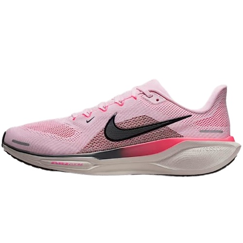 나이키 페가수스 41 FD2722-604