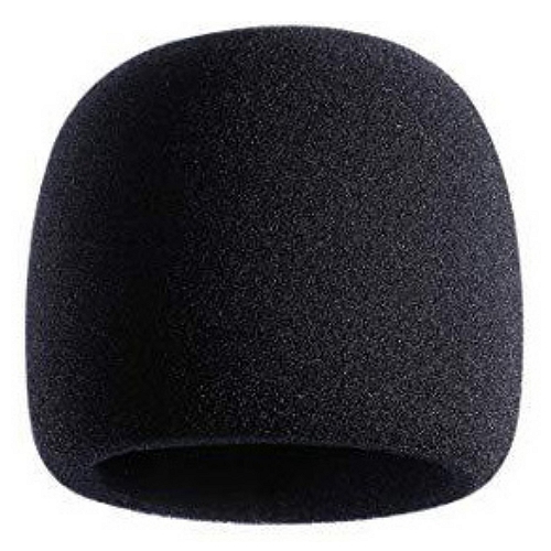 블랙 스펀지 윈드스크린