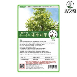 다농 DN 대추나무 산조인 씨앗 20g