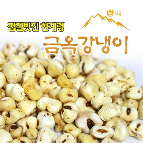 한계령웰빙영농조합 금옥 강냉이 40g (15개)