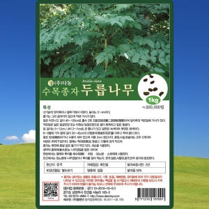두릅나무 씨앗 두릅나무 씨 종자 10g