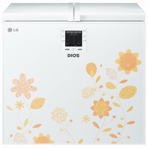 LG전자 디오스 R-K205TEJW_이미지