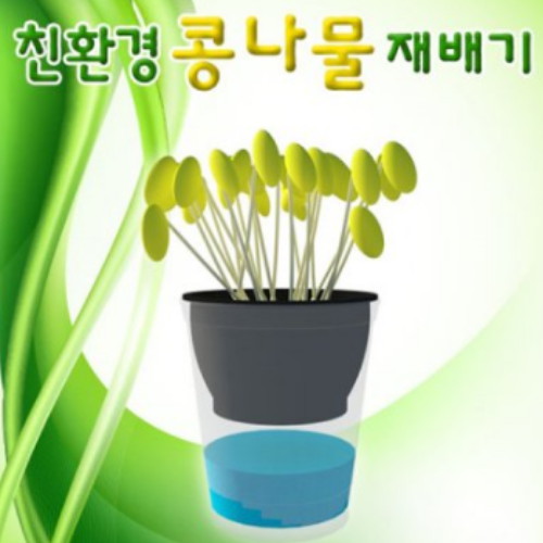 친환경 콩나물 재배기 5인용