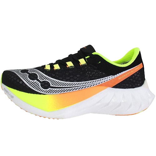 엔돌핀 프로 4 S20939-343