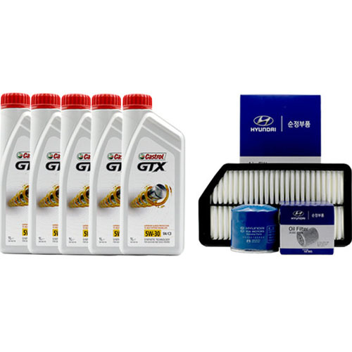 ĳ��Ʈ�� GTX 5W30 + �������� �׷���IG 2.4 ���ָ�