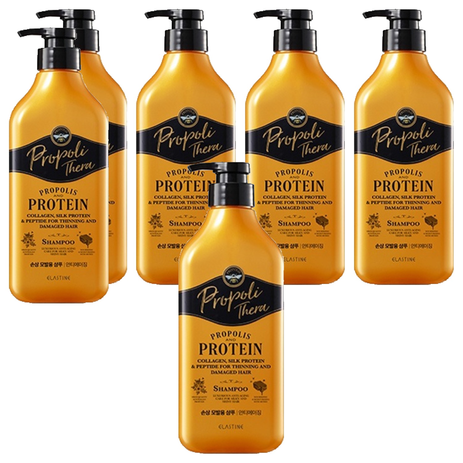 엘라스틴 프로폴리테라 손상모발 샴푸 500ml (6개)_이미지