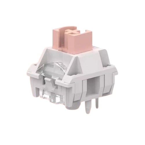 TTC Holy Panda V2 10Pcs (해외구매)