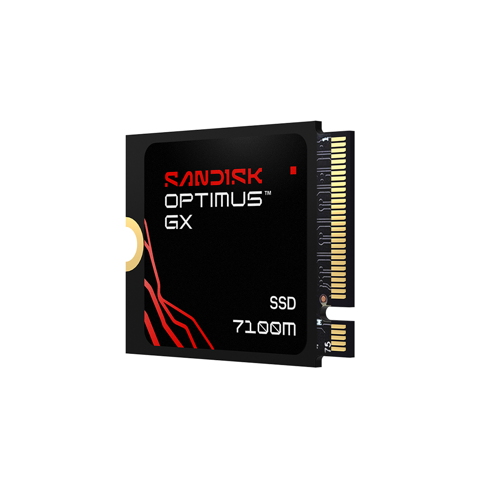 Sandisk Optimus GX 7100M M.2 2230 NVMe (1TB)_이미지