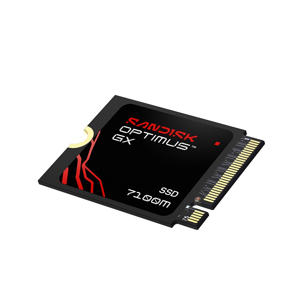 Sandisk Optimus GX 7100M M.2 2230 NVMe (1TB)_이미지