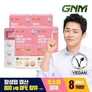 GNM자연의품격 액티브 활성 엽산 800 비타민B 60정 (4개)