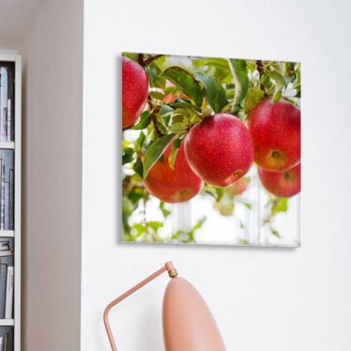 꾸밈 ce272-아크릴액자_풍수의빨간사과_이미지