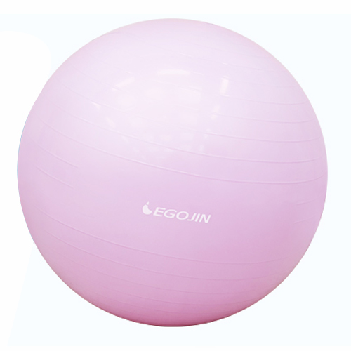 이고진 짐볼 75cm (일반구매)