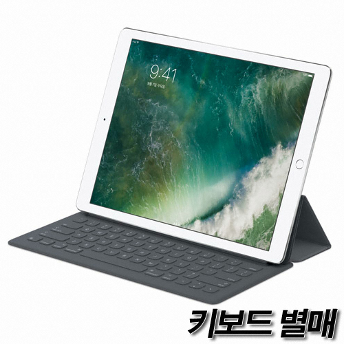 APPLE iPad Pro 12.9 1���� �߰�