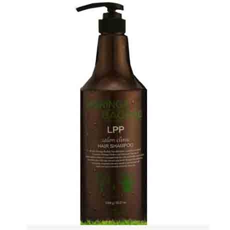 올레이디 모링가 바오밥 LPP 샴푸 1000ml (1개)_이미지