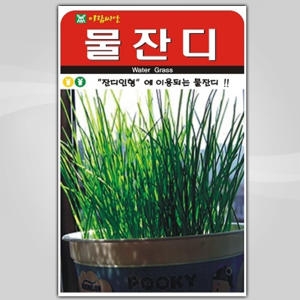 지엘파크 동산원  물잔디 물잔디씨앗 잔디 잔디씨앗 잔디인형 물잔디씨_이미지