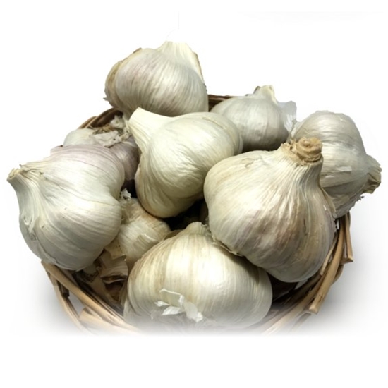 훈박이네 국내산 통마늘 1kg (1개)_이미지