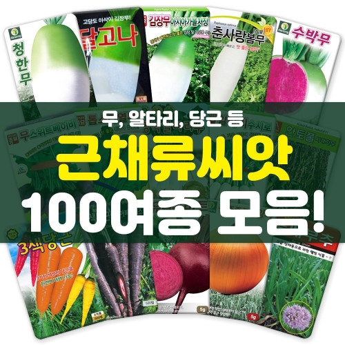 다농 호남열무씨앗 25g 1개_이미지