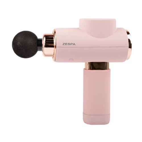 ������ Ŭ���� �������� ZP2966