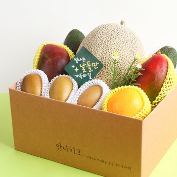프리미엄 과일선물세트 3호 3kg