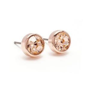 ���ͷκ꽺Ű ���ͷκ꽺Ű ������ �Ͱ��� �ǹ�����Ʈ ESG2161.���������