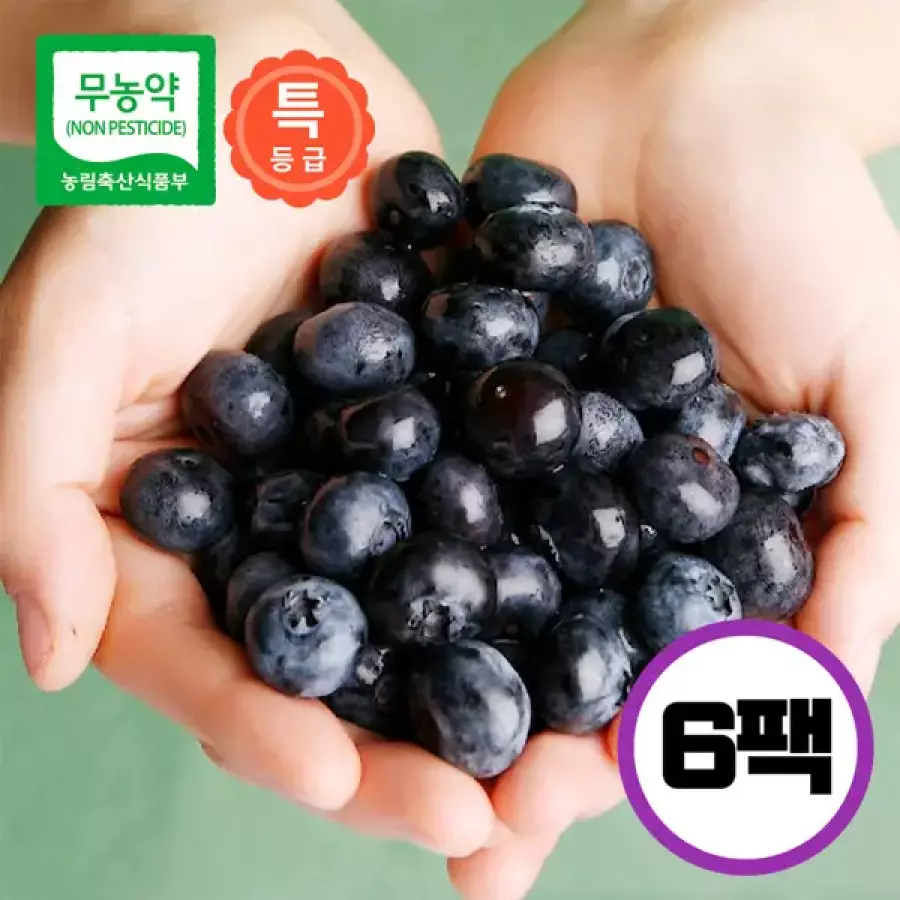 농업회사법인(주)블루원 국내산 무농약 생 블루베리 특등급 100g (6개)_이미지