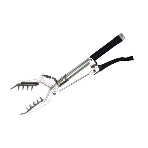 �����̵� �Ǿ����� 40cm