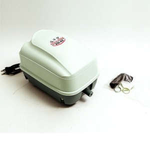 필그린 브로와 PD-40  22W_이미지