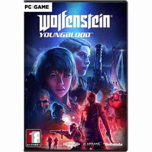 베데스다 소프트웍스 울펜슈타인: 영블러드 PC