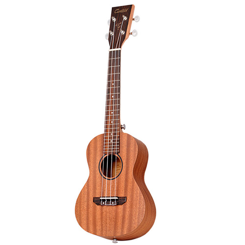 �ѽ����� ĭŸ�� CCU-100