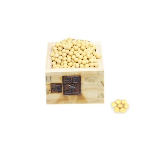 김녕농협 풍산품종 콩나물콩1kg