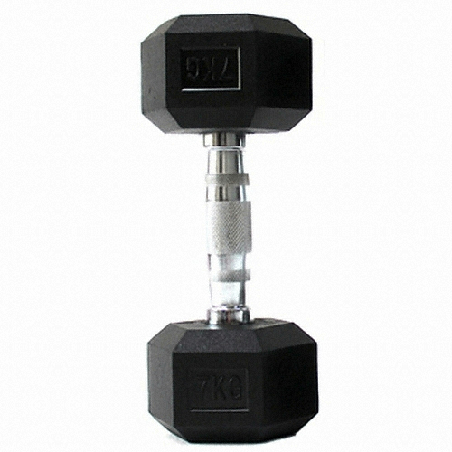 씨앤케이 육각고무아령 (22.5kg, 1개)_이미지