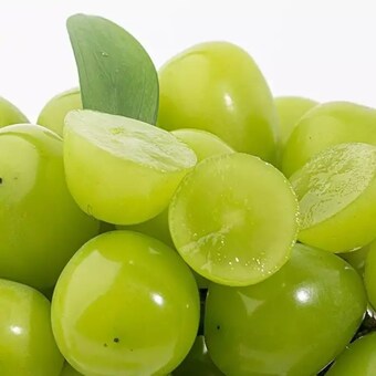 자연맛남 고당도 샤인머스켓 망고<b>포도</b> 1-3수 1kg