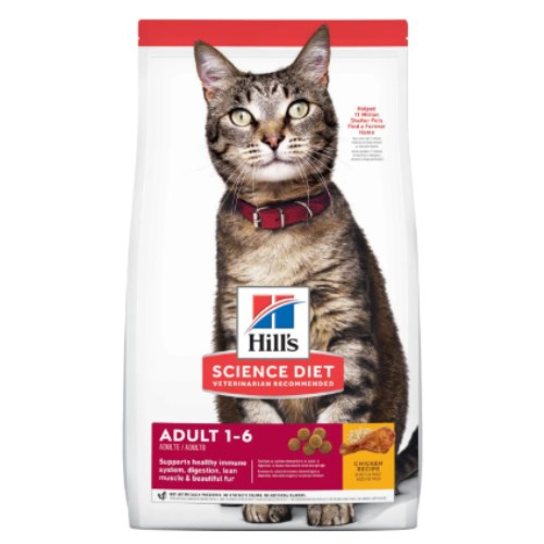 ���� ���� ���̾� ���̾�Ʈ Ĺ ���Ʈ ġŲ 10kg