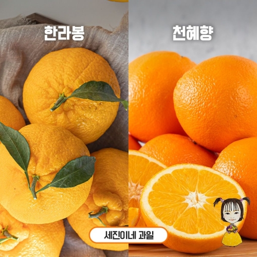 세진이네