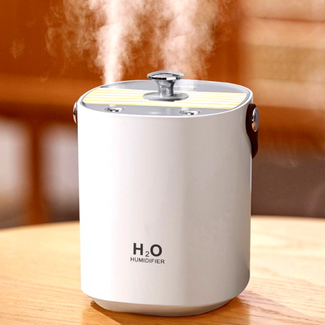 헤몬 듀얼 미니 가습기