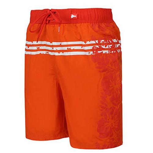 ���븶 ���븶������ MS18314 OR ���� Ÿ���� ����� ����