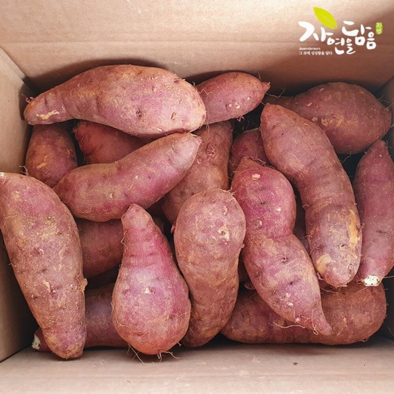 자연을담음 황토 해남 꿀고구마(베니하루카) 대 5kg