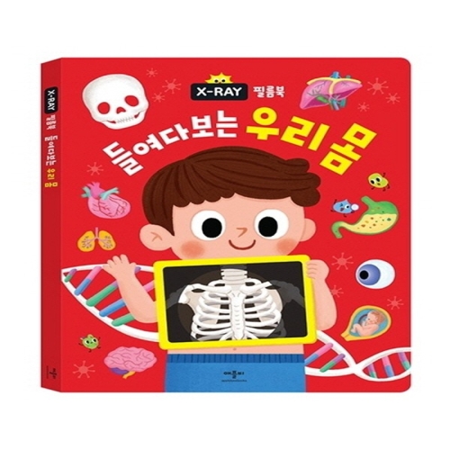애플비 엑스레이 필름북 들여다보는 우리몸 X-RAY_이미지