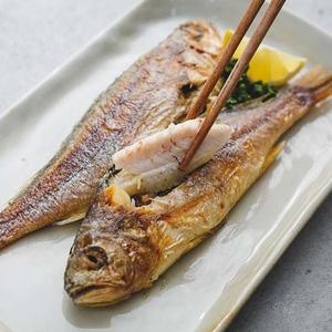 물맛남 영광법성포 참굴비 20미 1.2kg