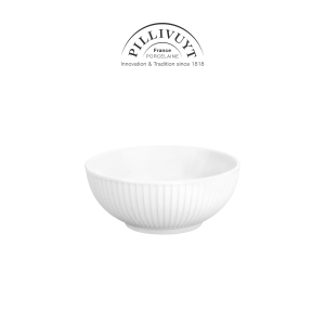 필리빗 플리세 국공기