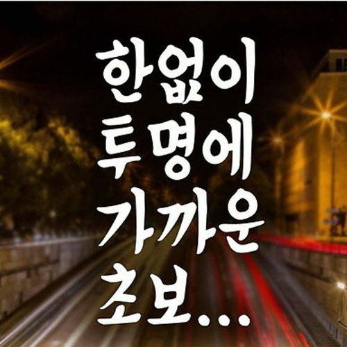 제제데코 텍스트 한없이 투명에 가까운 초보 초보운전 스티커 [반사]