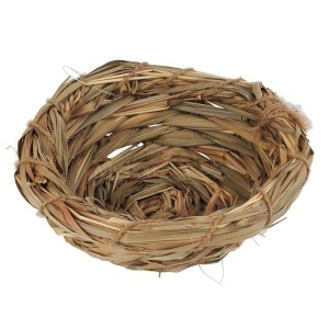 [불명] 접시둥지