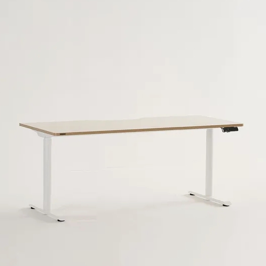 리바트 듀얼모터 라이트 일반형 모션 스탠딩 책상