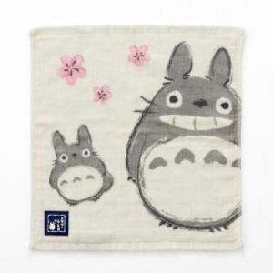 [불명] 일본 수입 토토로 가제 워시 타올 봄바람과 토토로_이미지