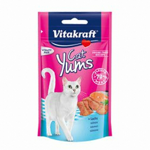 ��Ÿũ����Ʈ ��Ĺ�� ���� 40g