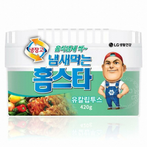 LG생활건강 홈스타 냄새먹는 홈스타 냉장고용 유칼립투스 420g (1개)