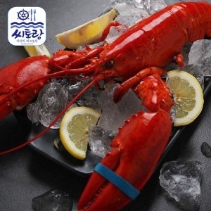 씨토랑 캐나다 자숙랍스터 350~400g (3개)